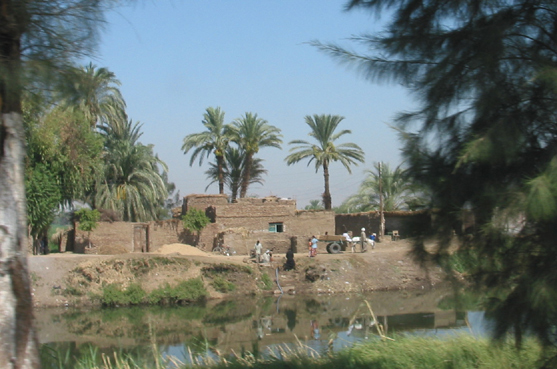 Scene along the Nile River